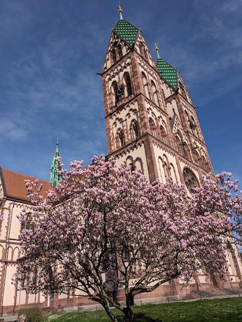 Herz-Jesu-Kirche Freiburg Stühlinger – Außenansicht im Frühling Herz-Jesu-Kirche Freiburg Stühlinger - Außenansicht im Frühling